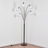Bassagoda floor lamp black, 5-light sources