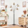 Ramila floor lamp black, 5-light sources