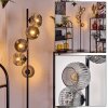 Ripoll floor lamp Smoke-coloured, 5-light sources