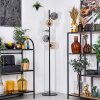 Ripoll floor lamp Amber, clear, Smoke-coloured, 5-light sources