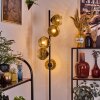 Ripoll floor lamp gold, clear, 5-light sources