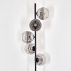 Ripoll floor lamp chrome, clear, Smoke-coloured, 5-light sources