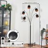 Alsen floor lamp black, 5-light sources