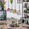 Ripoll hanging light, globe light, pendant light gold, clear, coppery, Smoke-coloured, 4-light sources