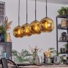 Ripoll hanging light, globe light, pendant light gold, 4-light sources