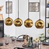 Ripoll hanging light, globe light, pendant light gold, 4-light sources