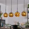 Ripoll hanging light, globe light, pendant light gold, 4-light sources