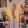 Ripoll floor lamp clear, Smoke-coloured, 5-light sources