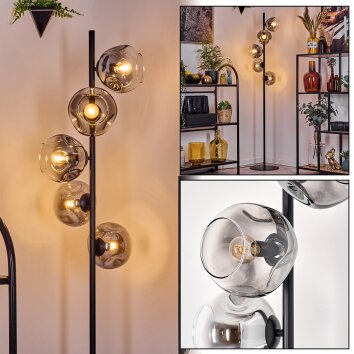 Ripoll floor lamp clear, Smoke-coloured, 5-light sources