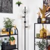 Ripoll floor lamp clear, 4-light sources