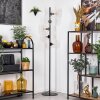 Koyoto floor lamp 31 cm clear, 5-light sources