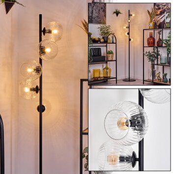 Koyoto floor lamp 31 cm clear, 5-light sources