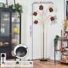 Cando floor lamp brass, black, 5-light sources
