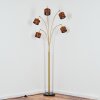Cando floor lamp brass, black, 5-light sources