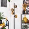 Ripoll floor lamp gold, clear, 4-light sources