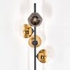 Ripoll floor lamp gold, clear, 4-light sources