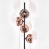 Ripoll floor lamp clear, coppery, 4-light sources