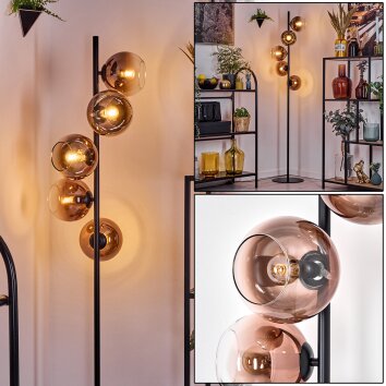 Koyoto floor lamp 31 cm clear, coppery, 5-light sources