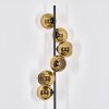 Koyoto floor lamp gold, 6-light sources