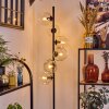 Ripoll floor lamp clear, 6-light sources