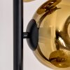 Ripoll floor lamp gold, clear, 6-light sources