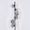 Ripoll floor lamp clear, Smoke-coloured, 6-light sources