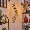 Ripoll floor lamp clear, Smoke-coloured, 6-light sources