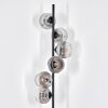 Ripoll floor lamp chrome, clear, Smoke-coloured, 6-light sources