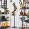 Ripoll floor lamp gold, 6-light sources
