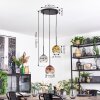 Ripoll hanging light, globe light, pendant light gold, clear, coppery, Smoke-coloured, 3-light sources