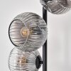 Ripoll floor lamp clear, Smoke-coloured, 5-light sources