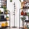 Ripoll floor lamp clear, 6-light sources