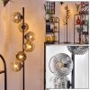 Ripoll floor lamp clear, Smoke-coloured, 6-light sources