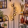 Ripoll floor lamp clear, Smoke-coloured, 6-light sources