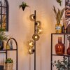 Ripoll floor lamp clear, Smoke-coloured, 6-light sources