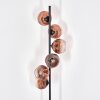 Ripoll floor lamp clear, coppery, 6-light sources