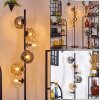 Ripoll floor lamp Amber, clear, Smoke-coloured, 6-light sources
