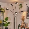 Nikkala floor lamp chrome, black, 5-light sources