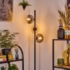 Gastor floor lamp 34 cm Amber, clear, Smoke-coloured, 3-light sources