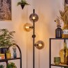 Gastor floor lamp 34 cm Amber, clear, Smoke-coloured, 4-light sources