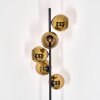 Koyoto floor lamp 31 cm gold, 5-light sources