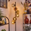 Ripoll floor lamp gold, clear, coppery, Smoke-coloured, 6-light sources