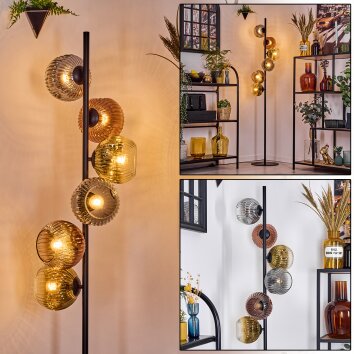 Ripoll floor lamp gold, clear, coppery, Smoke-coloured, 6-light sources