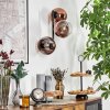Koyoto globe light, wall light clear, coppery, 3-light sources