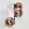 Koyoto globe light, wall light clear, coppery, 3-light sources