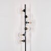 Koyoto floor lamp 31 cm clear, 6-light sources