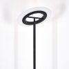 Byrum floor lamp LED black, 1-light source, Colour changer