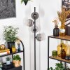 Ripoll floor lamp clear, Smoke-coloured, 4-light sources