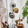 Ripoll globe light, wall light chrome, gold, Smoke-coloured, 3-light sources