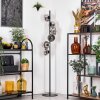 Koyoto floor lamp 31 cm chrome, clear, Smoke-coloured, 6-light sources